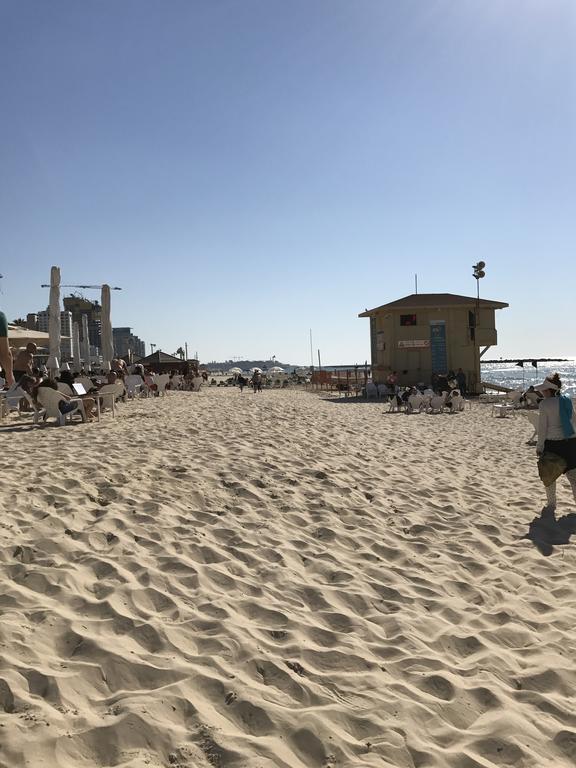 דירות תל אביב דירת בן גוריון מראה חיצוני תמונה